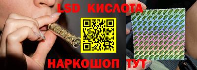 стаф Камышлов