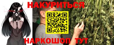 стаф Камышлов