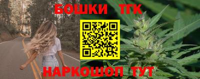стаф Камышлов