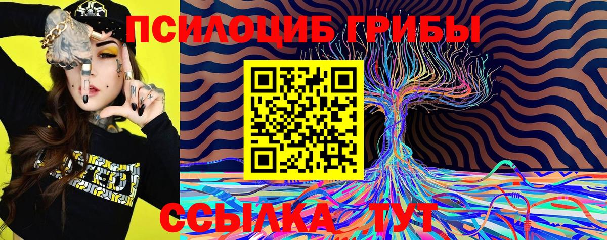 Псилоцибиновые грибы GOLDEN TEACHER  Псилоцибиновые грибы Cubensis  Каменск-Шахтинский  Вход с VPN 