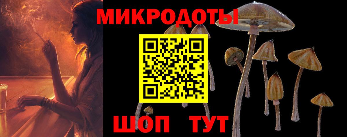 Галлюциногенные грибы MAGIC MUSHROOMS Каменск-Шахтинский